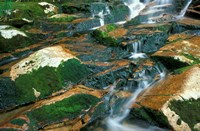 Water over Mossy Rock Ledge in the Peabody River, White Mountains National Forest, New Hampshire Fine Art Print