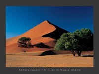Dune in Namib, Africa Fine Art Print