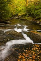 Autumn stream, Grafton, New Hampshire Fine Art Print