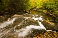 Autumn stream, New Hampshire Fine Art Print