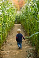 Moulton Farm, Meredith, New Hampshire Fine Art Print