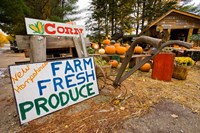 Farm stand in Holderness, New Hampshire Fine Art Print