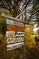Farm stand in Holderness, New Hampshire Fine Art Print