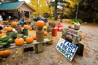 Farm stand, Holderness, New Hampshire Fine Art Print