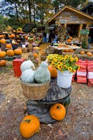 A farm stand in Holderness, New Hampshire Fine Art Print