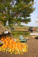 Gourds at the Moulton Farmstand, Meredith, New Hampshire Fine Art Print