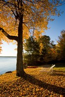 Lodge at Lake Winnipesauke, New Hampshire Fine Art Print