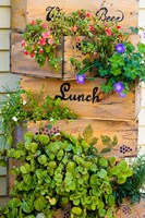 Street Scene in Wolfeboro, New Hampshire Fine Art Print