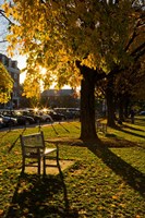 Late afternoon, Hanover, New Hampshire Fine Art Print