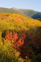 Mount Lafayette in fall, White Mountain National Forest, New Hampshire Fine Art Print