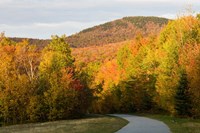Franconia Notch Bike Path in New Hampshire's White Mountains Fine Art Print
