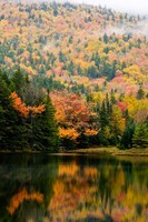Ammonoosuc Lake in fall, White Mountain National Forest, New Hampshire Fine Art Print