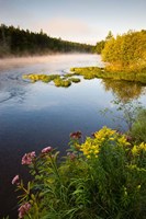Androscoggin River, Errol, New Hampshire Fine Art Print