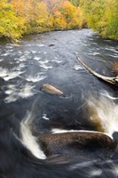 Ashuelot River, New Hampshire Fine Art Print