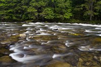 Connecticut River, Pittsburg, New Hampshire Fine Art Print