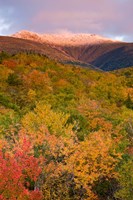 Mt Lafayette in Autumn, New Hampshire Fine Art Print