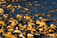 Saco River, White Mountains, New Hampshire Fine Art Print