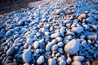 Winter cobblestones, Odiorne, New Hampshire Fine Art Print