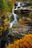 Autumn at Silver Cascade, Crawford Notch SP, New Hampshire Fine Art Print