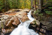 Autumn on Pemigewasset River, Franconia Notch SP, New Hampshire Fine Art Print