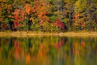 Reflected autumn colors at Echo Lake State Park, New Hampshire Fine Art Print