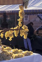Market on Cours Saleya, Old Town Nice, France Fine Art Print