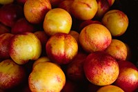 Plums at an Outdoor Market, Nice, France Fine Art Print