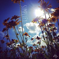 Simplify Fine Art Print