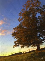 Tree Poem Fine Art Print