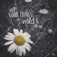Wild And Free 1 Fine Art Print