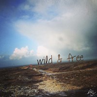 Wild And Free 2 Fine Art Print