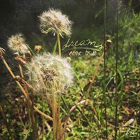 Dreams Come True Fine Art Print