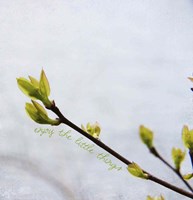 Enjoy The Little Things Fine Art Print