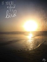 I'm A Bird Fine Art Print