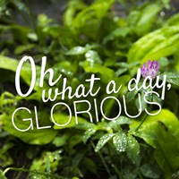 Glorious Fine Art Print