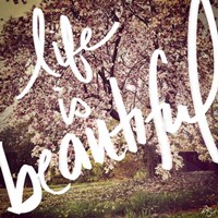 Life is Beautiful Fine Art Print