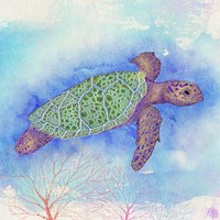 Bright Sea turtle Fine Art Print