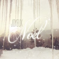 Joyeux Noel Fine Art Print