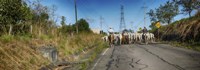 Men with Horses on Road, Costa Rica Fine Art Print