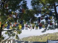 Prayer Flags, Upper Dharamsala, Himachal Pradesh, India Fine Art Print