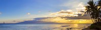 Palm Trees at Dusk, Maui, Hawaii Fine Art Print