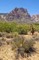 Red Rock Canyon National Conservation Area, Las Vegas, Nevada Fine Art Print