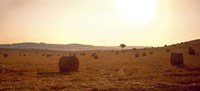 Hay Bales, Tuscany, Italy Fine Art Print
