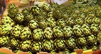 Artichokes, Colts Neck Township, NJ Fine Art Print