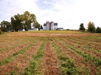 Barn and Silo, Colts Neck Township, New Jersey Fine Art Print