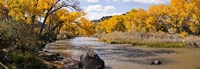 Rio Grande River, Pilar, New Mexico Fine Art Print