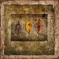 Autumn Leaves I Fine Art Print