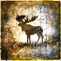 High Country Moose Framed Print