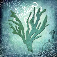 Indian Ocean Coral Framed Print