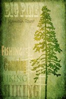 Big Piney Fine Art Print
